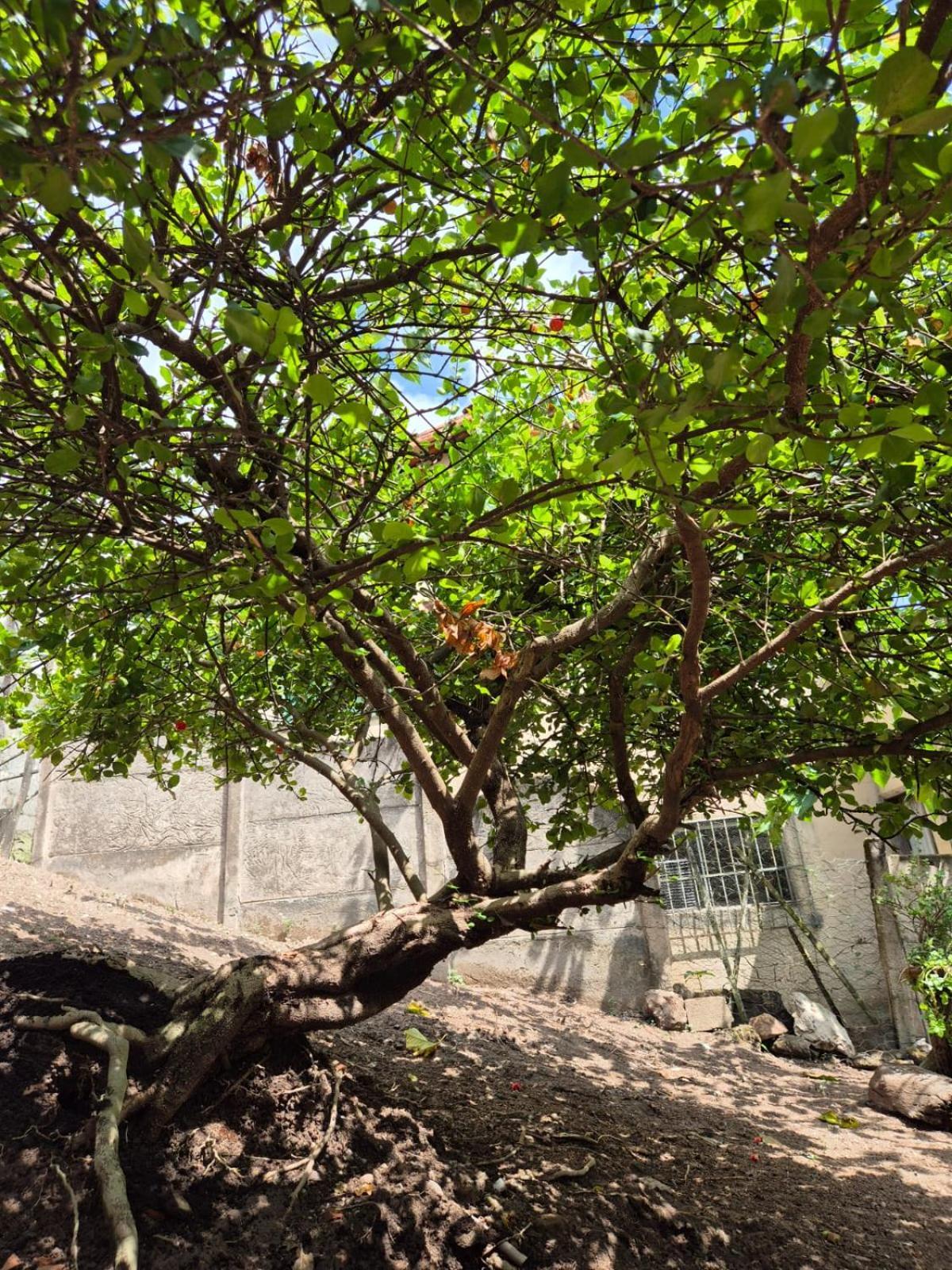 Pousada Verde Villas Brumadinho Eksteriør billede